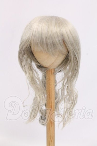 画像1: 9-10inch/ウィッグ I-26-05-28-209-KD-ZI (1)