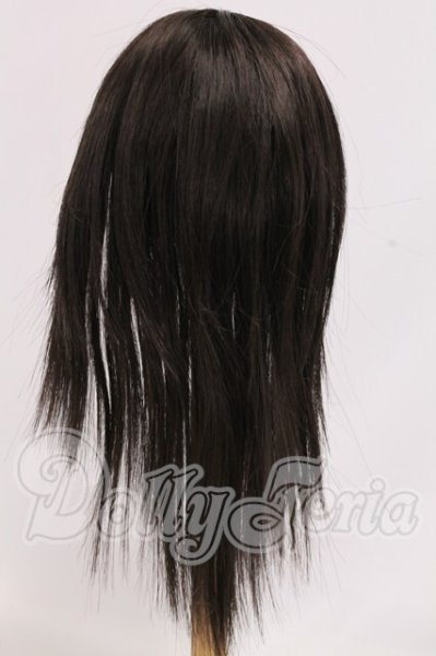画像2: 9-10inch/ウィッグ I-26-05-28-211-KD-ZI (2)