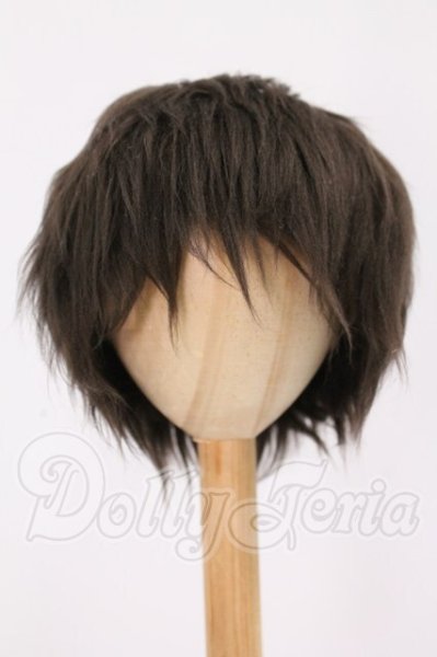 画像1: 9inch/ウィッグ I-26-05-21-250-KD-ZI (1)