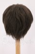 画像2: 9inch/ウィッグ I-26-05-21-250-KD-ZI (2)
