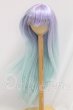 画像1: 8.5inch/ウィッグ I-26-06-25-388-KD-ZI (1)