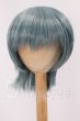 画像1: 9inch/ウィッグ I-26-06-04-052-KD-ZI (1)