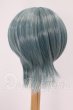 画像2: 9inch/ウィッグ I-26-06-04-052-KD-ZI (2)