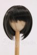 画像1: 9inch/ウィッグ　インソムニア様製 I-26-06-11-033-KD-ZI (1)