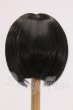 画像2: 9inch/ウィッグ　インソムニア様製 I-26-06-11-033-KD-ZI (2)