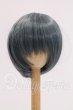 画像1: 9inch/ウィッグ　インソムニア様製 I-26-06-11-035-KD-ZI (1)