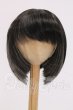 画像1: 9inch/ウィッグ　インソムニア様製 I-26-06-11-032-KD-ZI (1)