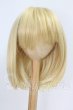 画像1: 8-9inch/ウィッグ I-26-07-02-100-KD-ZI (1)
