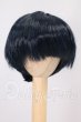画像1: 6-7inch/ウィッグ I-26-06-25-027-KD-ZI (1)
