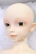 画像2: SD13BOY/フルチョイスF-17 I-26-06-25-118-KD-ZI (2)
