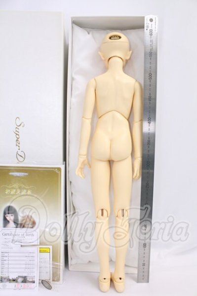 画像5: SD13BOY/フルチョイスF-17 I-26-06-25-118-KD-ZI (5)