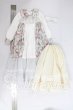 画像3: SD/OF:ワンピース I-26-06-25-466-KD-ZI (3)