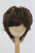 画像1: 8-9inch/ウィッグ I-26-07-02-249-KD-ZI (1)