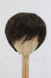 画像1: 8-9inch/ウィッグ I-26-07-02-248-KD-ZI (1)