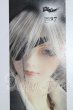 画像1: SD17BOY/レイズナー I-26-07-02-197-KD-ZI (1)