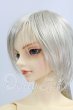 画像4: SD17BOY/レイズナー I-26-07-02-197-KD-ZI (4)