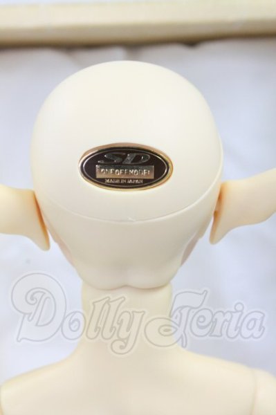 画像6: SD13BOY/ワンオフモデル：F-30 I-26-07-02-252-KD-ZI (6)