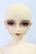 画像1: SD13BOY/ワンオフモデル：セシル I-26-07-02-253-KD-ZI (1)