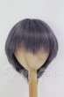 画像1: 8-9inch/ウィッグ I-26-07-09-352-KD-ZI (1)