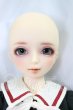 画像7: SDM男の子/アダプションモデルF-47 I-26-07-30-207-KD-ZI (7)