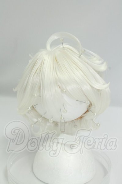 画像1: 8.5-9inch/ウィッグ I-26-07-30-095-KD-ZI (1)