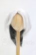 画像1: 9inch/ウィッグ I-26-07-30-094-KD-ZI (1)