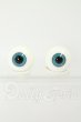 画像1: 16mm/グラスアイ I-26-08-06-072-KD-ZI (1)