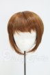 画像1: 8-9inch/ウィッグ I-26-08-06-229-KD-ZI (1)