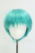 画像1: 8-9inch/ウィッグ I-26-08-06-231-KD-ZI (1)