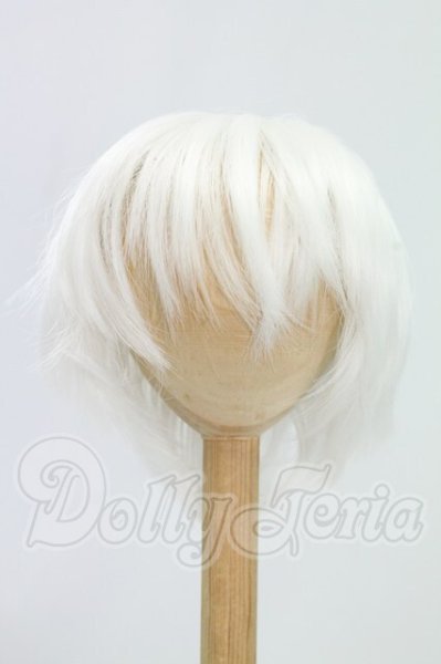 画像1: 8.5inch/ウィッグ I-26-08-20-103-KD-ZI (1)