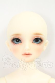 SuperDollfie - DOLL UP!