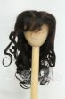 画像1: 7-8inch/ウィッグ I-26-09-10-127-KD-ZI (1)