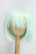 画像1: 9inch/ウィッグ I-26-09-10-115-KD-ZI (1)