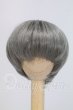 画像1: 7-8inch/ウィッグ I-26-09-10-276-KD-ZI (1)