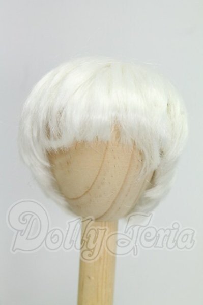 画像1: 6-7inch/ウィッグ I-26-09-10-257-KD-ZI (1)