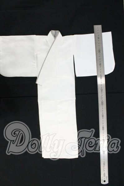 画像4: SD13BOY/OF 衣装セット I-26-09-17-220-KD-ZI (4)