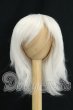 画像1: 8inch/ウィッグ　BJD　CROBI製 I-26-09-24-255-KD-ZI (1)