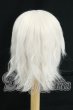 画像2: 8inch/ウィッグ　BJD　CROBI製 I-26-09-24-255-KD-ZI (2)