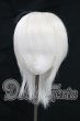 画像1: 8-9inch/ウィッグ I-26-10-01-157-KD-ZI (1)