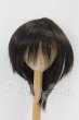 画像1: 9-10inch/ウィッグ I-26-10-15-019-KD-ZI (1)