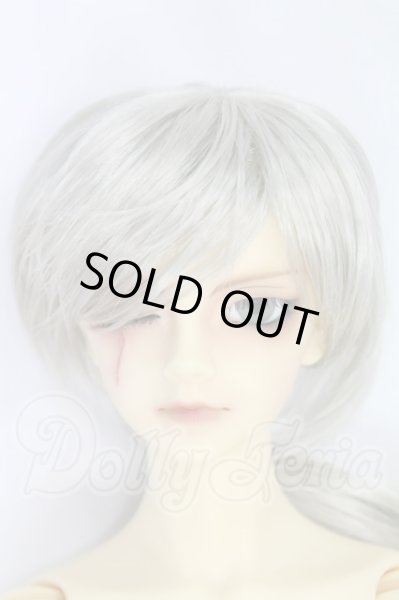 画像1: SD17BOY/レイズナー ザ・スカーフェイス ザ・シャドウ オブ キャプテンver I-26-10-15-173-KD-ZI (1)
