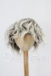画像1: 9-10inch/ウィッグ I-26-10-22-294-KD-ZI (1)