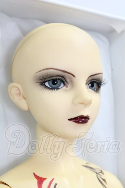 画像8: SD13男の子/フルチョイス　F-16 I-26-10-22-369-KD-ZI (8)