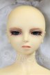画像5: SD13BOY/遠夜 I-26-10-22-368-KD-ZI (5)