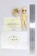 画像6: VOLKS/霊天使 I-26-10-22-332-KD-ZI (6)