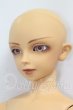 画像2: SD13BOY/フルチョイスF-17 I-26-10-22-377-KD-ZI (2)