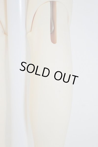 画像10: SD16GIRL/楢崎 龍 U-23-12-27-217-TN-ZU (10)