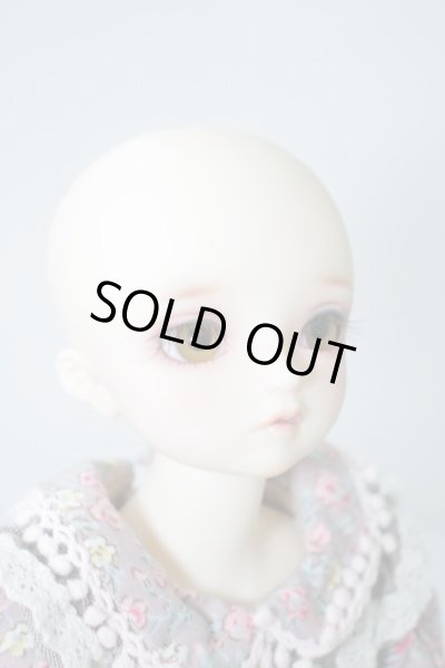 画像4: sdmidi女の子コーディネートF-52 U-24-01-10-212-TN-ZU (4)