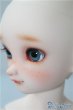 画像4: DearSD/アナ U-24-12-24-216-TN-ZU (4)