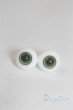 画像1: グラスアイ12mm未使用新品 U-25-03-11-251-TN-ZU (1)